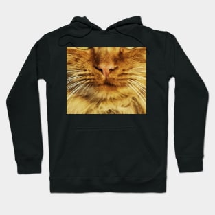 Cat face mask funny design - cat mouth face mask - animal mouth funny face mask Hoodie